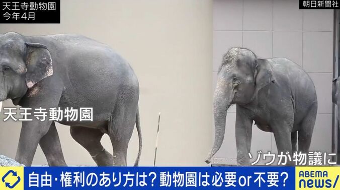動物園は必要or不要？