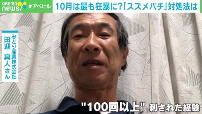 スズメバチは10月が最も凶暴に？ “100回以上刺された”専門家が明かす遭遇時＆刺された時の対処法 1枚目