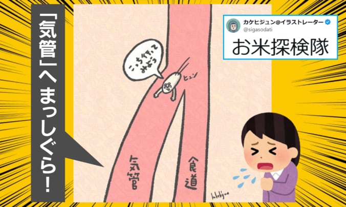 お米探検隊