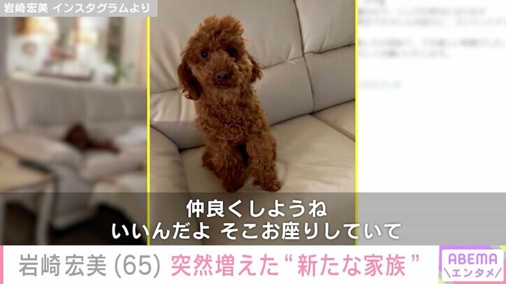 【写真・画像】岩崎宏美「突然家族が増えました」トイプードルのモカくんを紹介「びっくりしました!」「にぎやかになりますね」と反響 2枚目