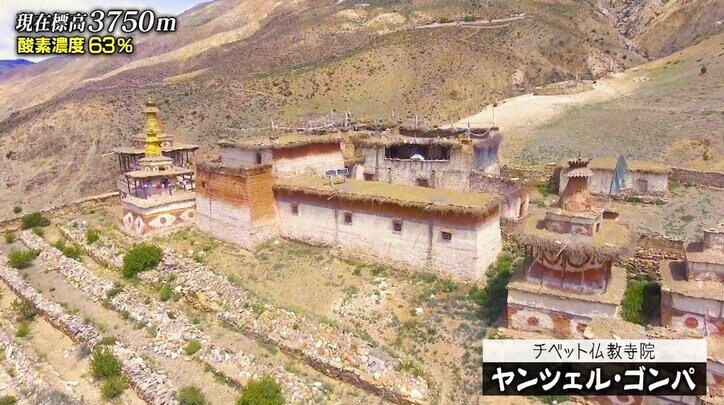 ヒマラヤの寺院を襲う窃盗団…やり口の残虐さに戦慄「いきなり5人で襲って手や足をナイフで刺した後……」