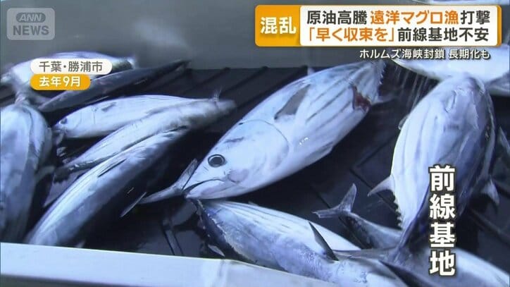 マグロとカツオ漁の前線基地・勝浦漁港