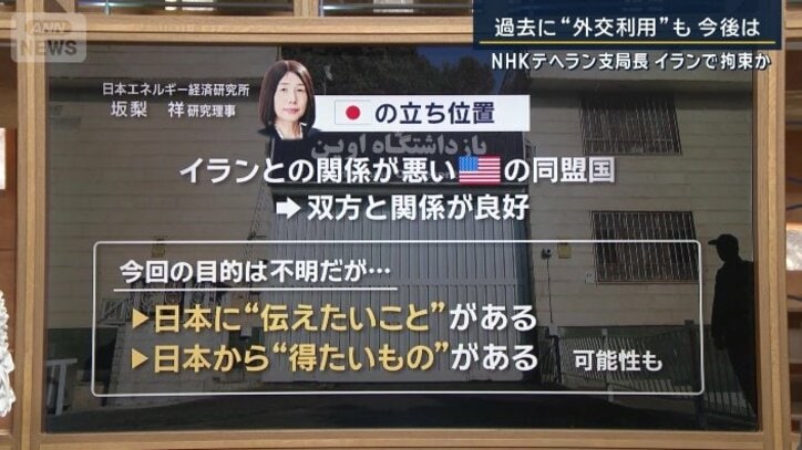 日本エネルギー経済研究所の坂梨祥さん