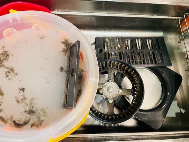  ココリコ・遠藤の妻、換気扇の掃除を先延ばしにした結果「こびりついた油が中々落ちず」 