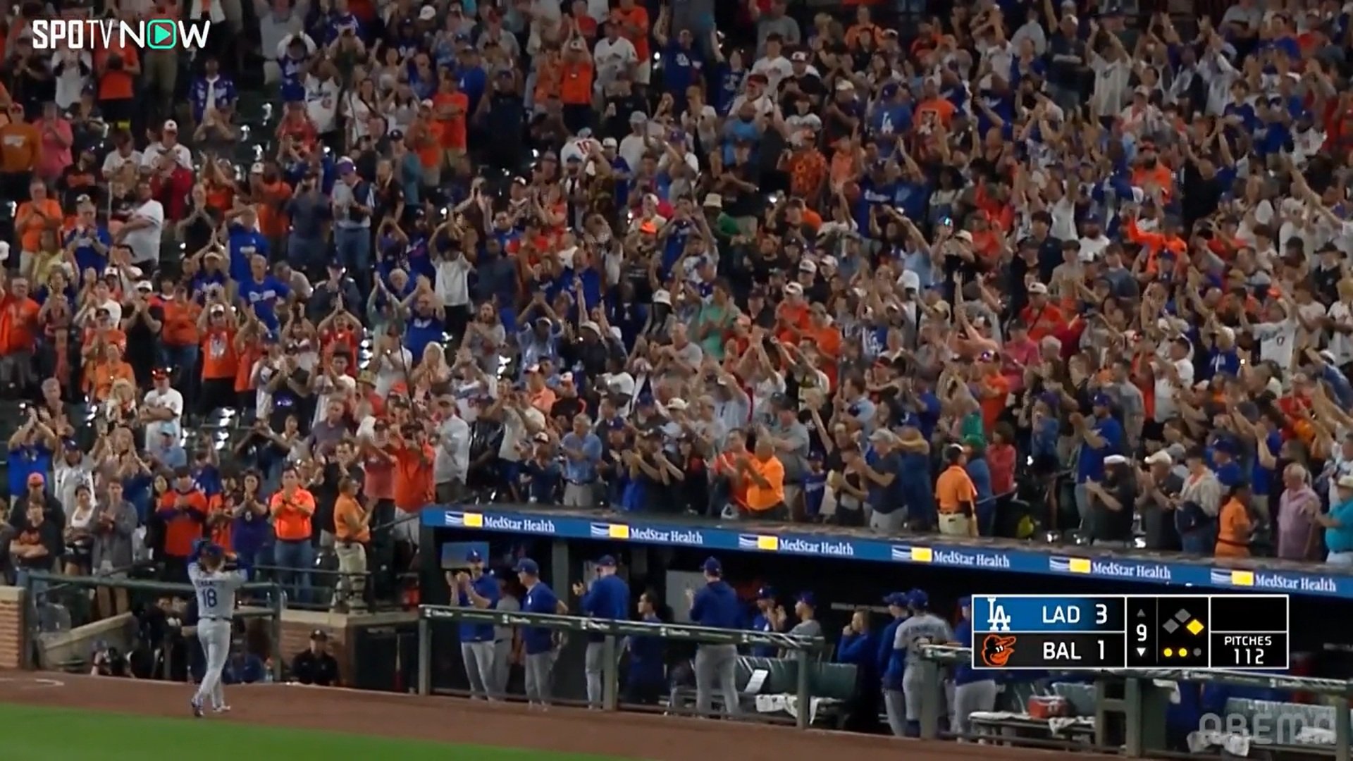 【写真・画像】　2枚目