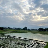 北斗晶『ちょっと遅れた✨母の日のプレゼント✨』