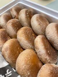 渡辺徹『いただいた美味しいもの』