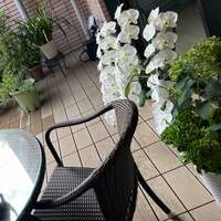 藤あや子『晴れて良かった！』