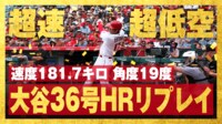 【映像】大谷翔平、超低弾道の爆速36号HR(現地7月23日)