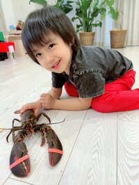 アレクサンダー『ロブスター 買ったのに 食べないで飼うと言い出しました』