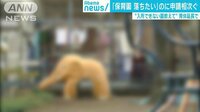 社会ニュース - 保育園「落選狙い」の申請相次ぐ　その背景は… | 動画視聴は【Abemaビデオ(AbemaTV)】