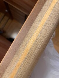 高橋真麻『家事day』