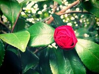 藤原紀香『オーマイガッ(^_^;)』