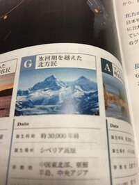 デンジャラス ノッチ『遺伝子検査結果』