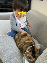 八田亜矢子『一歳半』