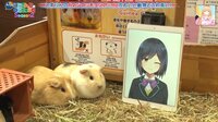 にじさんじのくじじゅうじ - Season2 - season2 - Season2 #3:Vtuber静凛が羊に囲まれぺろぺろ | 動画視聴は【Abemaビデオ(AbemaTV)】