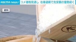 コメ価格見通し 在庫過剰で先安観の優勢続く