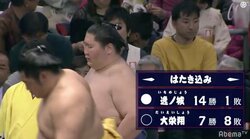 逸ノ城、14勝で殊勲賞受賞　結びの一番、白鵬敗れれば優勝決定戦へ