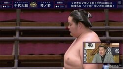 “プリンス”琴ノ若、くせ者千代大龍を圧倒も花田虎上氏は「立ち合いで攻めてから考えた方がいい」と助言