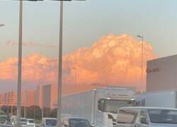  市川團十郎、かなり深刻だと感じている問題「残念」「危機的状況」の声 