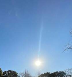  桂文枝、訃報を受け心境を吐露「深い悲しみに沈んでおります」 