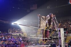 「まだ信じてる」「元気出して」WWEスーパースター、カイリ・セインの意味深投稿に励ましの声が殺到