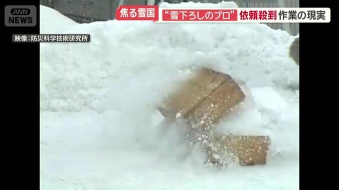 木箱は真っ二つに