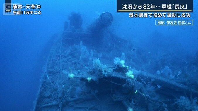 長良の船体