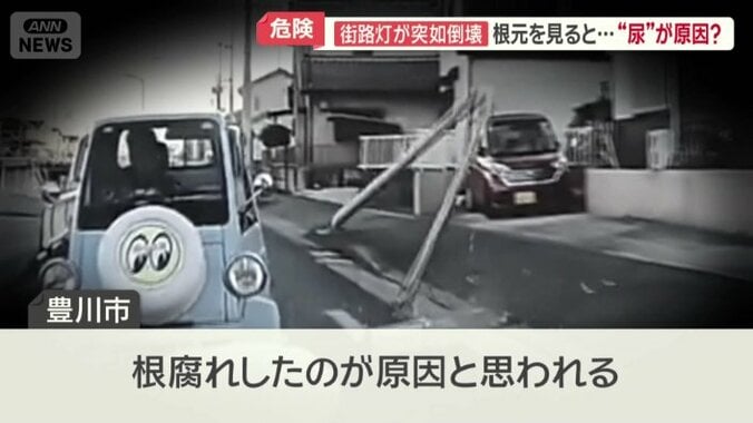 水や犬の尿などで老朽化して…