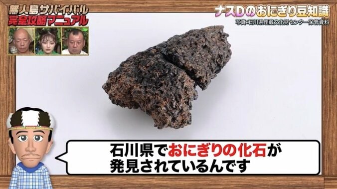 ナスDが明かすおにぎりの豆知識「一生買わないと思うコンビニのおにぎりランキング」気になる順位とは？ 3枚目