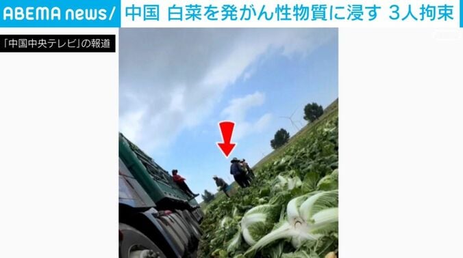 告発投稿の写真