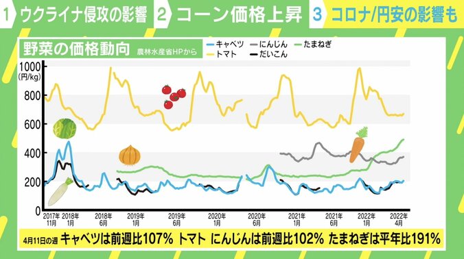 玉ねぎも約2倍の値段に… スーパー「アキダイ」社長が教える買い物テク 2枚目