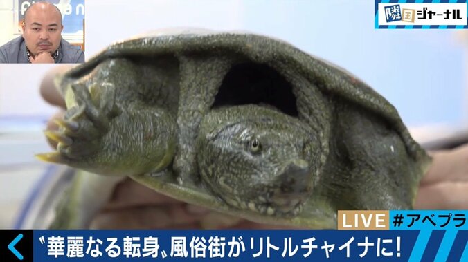 あの西川口が“脱風俗街”でチャイナタウン化?!日本では滅多に食べられない中華料理のお店も 4枚目