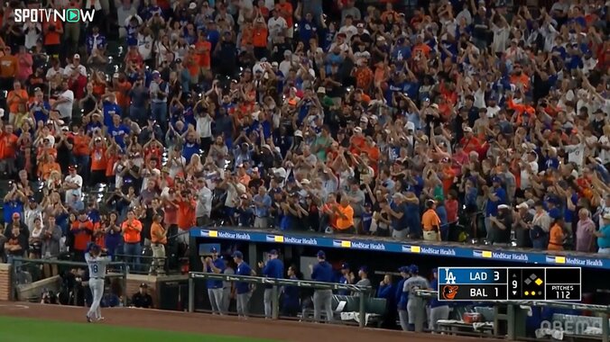 【写真・画像】　2枚目