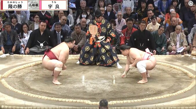 【写真・画像】　1枚目