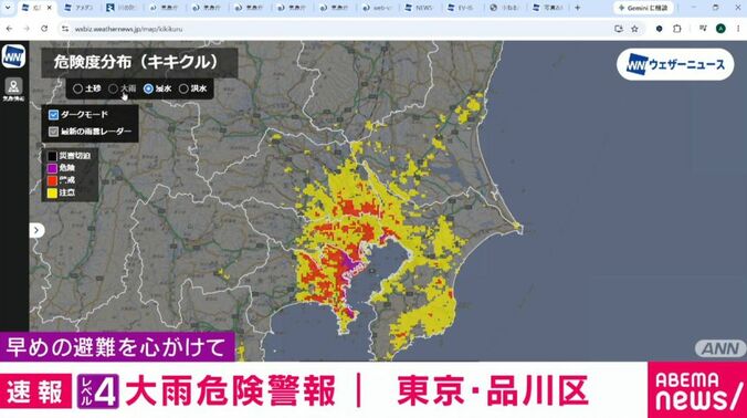 浸水の危険度分布