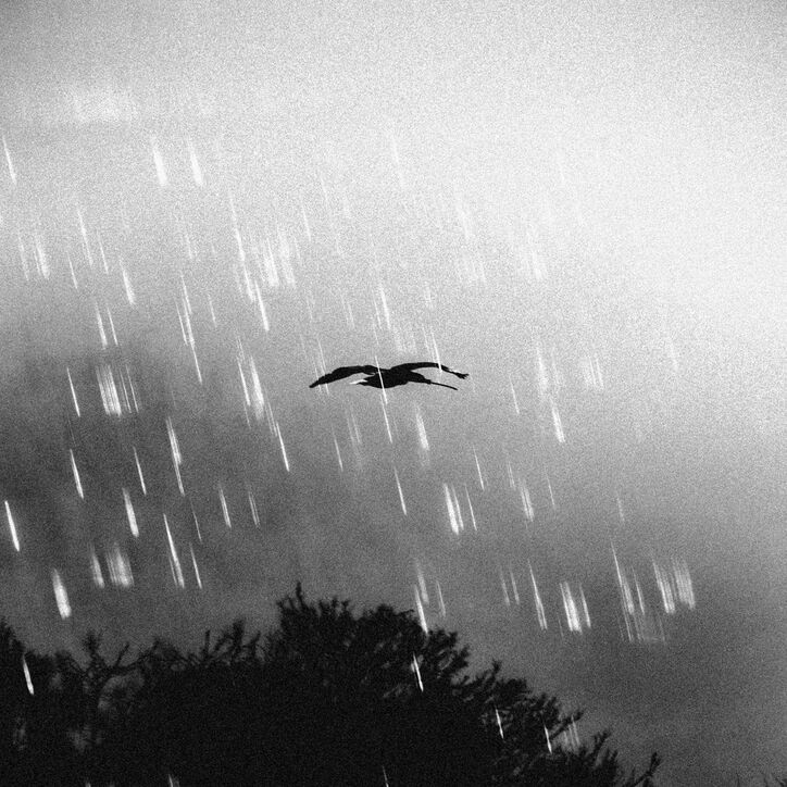 【写真・画像】　2枚目