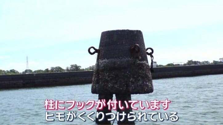 近づいてみると…