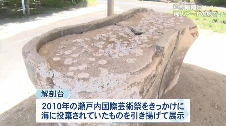「長生きしてよかった、でももっと早くにみんなが分かってくれていたら」二十数年前までは誰も近寄らなかった瀬戸内海の島で