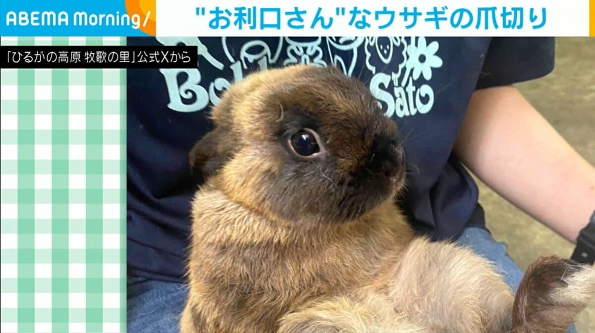 ☆あゆちゃん☆様お取り置きです。No．274 爪切り レジン うさぎ