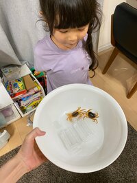 川島菜月『やっぱりそうか…』