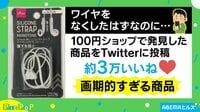 ワイヤレスイヤホンの落下を防ぐ100円ショップ製品が話題に
