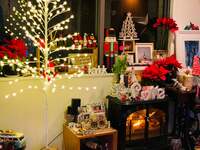 LiLiCo『クリスマスだぁ〜❤️』