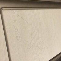 紺野あさ美『ひぃー (ﾟﾛﾟ;ﾉ)ﾉ』