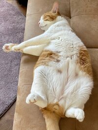 大渕愛子『23日ぶりの夫の一時帰宅』