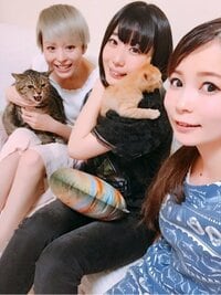 平野綾『しょこ×ねむ×あーや』