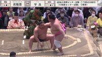 【映像】若隆景の“ひと皮剥けた”強い相撲に元若乃花が期待