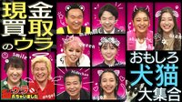 研ナオコ出演「ウラ撮れちゃいました」