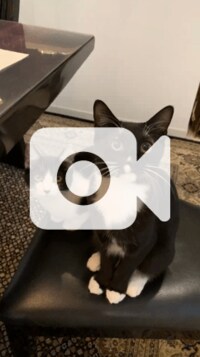 藤あや子『幾三ちゃん家のりんご♪』