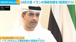 UAE大使 イランの海峡封鎖を「経済的テロ」